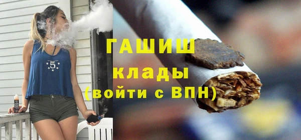 индика Заводоуковск