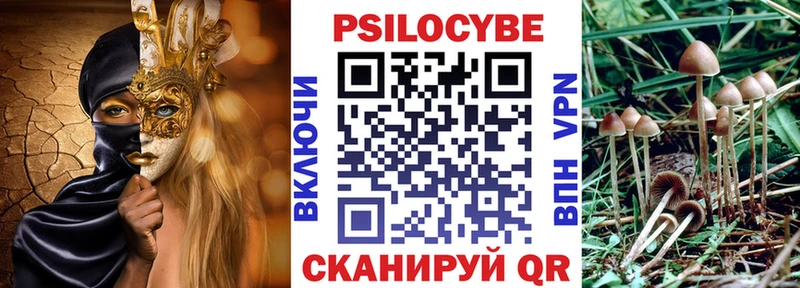 MEGA ССЫЛКА  Щёлкино  Галлюциногенные грибы Cubensis  как найти закладки 